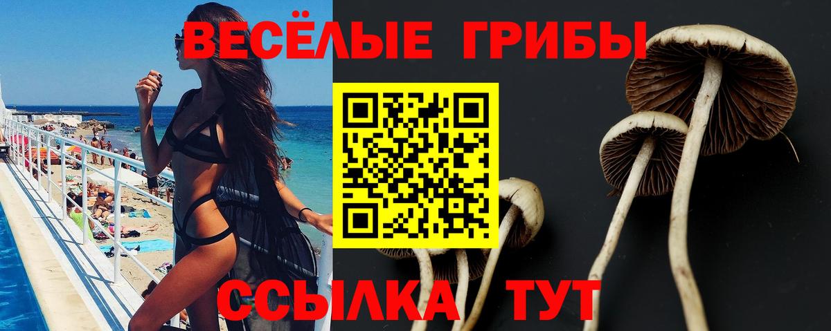 Галлюциногенные грибы ЛСД Унеча